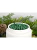 Scentsicles Duftgranulat ''Scentfetti - White Winter Fir'' - 125 g