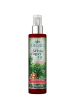 Scentsicles Raumspray ''Scentsicles - White Winter Fir'' - 118 ml