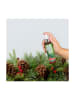 Scentsicles Raumspray ''Scentsicles - White Winter Fir'' - 118 ml