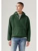 Levi's Hoodie groen
