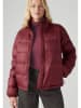Levi's Steppjacke in Bordeaux