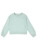 Levi's Kids Sweatshirt in Grün