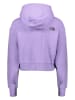 The North Face Hoodie "Respect" paars