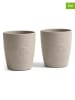 Sebra 2-delige set: drinkleerbekers "Mums" beige - vanaf 4 maanden