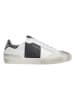 Pepe Jeans FOOTWEAR Skórzane sneakersy "Lane Glam" ze wzorem