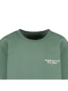 Cars Sweatshirt "Taray" groen