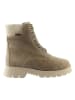 Högl Leren boots "Harvest" taupe