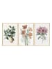 ABERTO DESIGN Druki artystyczne (3 szt.) w ramce
