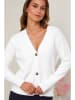 Soft Cashmere Vest wit
