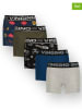 Vingino 5er-Set: Boxershorts in Bunt