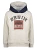 Vingino Hoodie in Grau