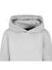 Cars Hoodie "Fergal" in Grau
