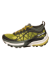 SCARPA Trailrunningschuhe "Golden Gate Atr" in Grün