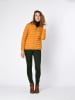 Northwood Steppjacke in Senf