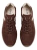 Clarks Leder-Sneakers in Braun/ Creme