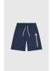 Champion Badeshorts in Dunkelblau