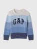 GAP Pullover in Blau