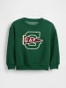 GAP Sweatshirt groen