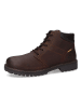 Camel Active Leren boots bruin