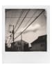 Polaroid Sofortbild-Film "i-Type B&W Film" - 8 Stück
