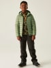 Regatta Steppjacke "Marizion" in Khaki