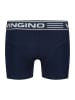 Vingino 5er-Set: Boxershorts in Bunt