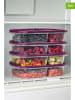Violeta Home 4-delige set: voorraadcontainers paars - (B)24 x (H)15 x (D)5 cm