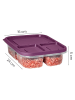 Violeta Home 4-delige set: voorraadcontainers paars - (B)24 x (H)15 x (D)5 cm
