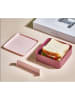 Violeta Home 2tlg. Set: Lunchbox in Pink - (B)14 x (H)14 x (T)5 cm