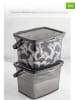 Violeta Home 2er-Set: Aufbewahrungsdosen in Anthrazit - 4 l