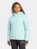 adidas Terrex Functionele jas lichtblauw