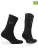 Norfolk 4er-Set: Socken in Schwarz