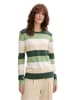 Tom Tailor Trui groen/beige/wit