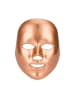 DAM LED-Gesichtsmaske in Gold