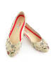 Goby Ballerinas in Beige/ Bunt