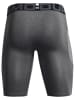 Under Armour Trainingsshorts in Grau