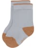Lässig 3er-Set: Babysocken in Hellblau/ Hellbraun