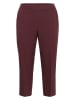 KAFFE curve Spodnie w kolorze bordowym