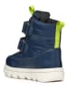 Geox Winterboots "Willaboom" in Dunkelblau