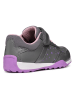 Geox Sneakers "Jocker Plus" in Grau/ Lila