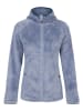 Dare 2b Fleecejacke "Torrek Pro" in Hellblau