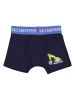 Salt and Pepper 3er-Set: Boxershorts in Blau/ Grau