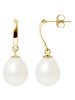 Pearl Addict Gold-Ohrstecker mit Süßwasserzuchtperlen
