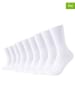 camano 9er-Set: Socken in Weiß