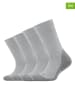 camano 4er-Set: Socken in Hellgrau