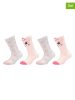 camano 4er-Set: Socken in Weiß/ Rosa