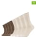 s.Oliver 8er-Set: Socken in Creme/ Hellbraun