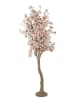 Clayre & Eef Dekobaum in Rosa/ Beige - (B)130 x (H)250 x (T)130 cm