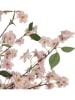 Clayre & Eef Dekobaum in Rosa/ Beige - (B)130 x (H)250 x (T)130 cm