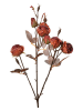 Clayre & Eef Gałązka dekoracyjna w kolorze pomarańczowo-brązowym - 16 x 73 x 9 cm